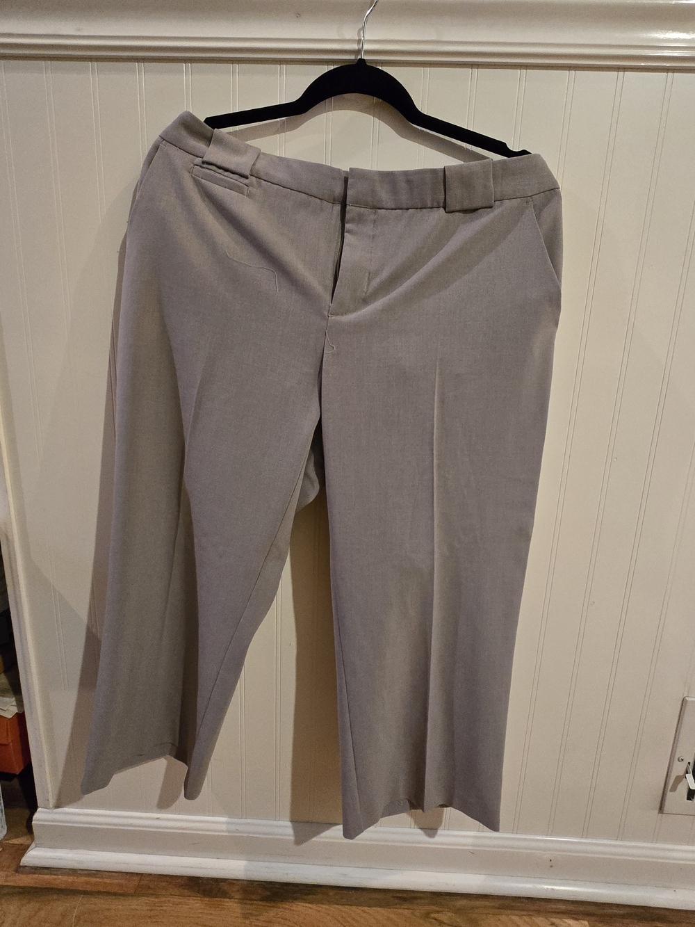 Daisy Fuentes Light Gray Women's Dress Shorts